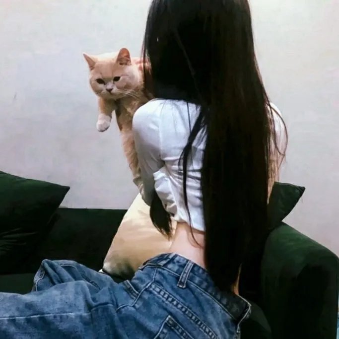 奇迹:追逐彩虹